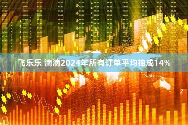 飞乐乐 滴滴2024年所有订单平均抽成14%