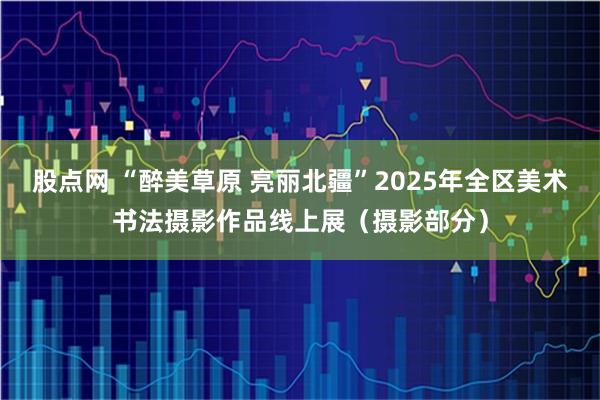 股点网 “醉美草原 亮丽北疆”2025年全区美术书法摄影作品线上展（摄影部分）