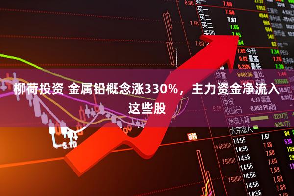 柳荷投资 金属铅概念涨330%，主力资金净流入这些股